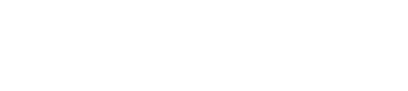 Smart minded logo